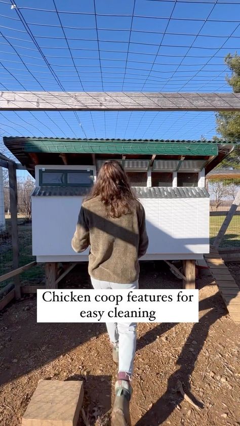 Elaina + Alex, Homestead & DIY on Reels | Self Sustaining Chicken Coop, Hillside Chicken Coop, Chicken Coop Hacks, Homestead Diy, Farming Ideas, Hobby Farming, Chicken Care, Homesteading Diy, Chicka Chicka