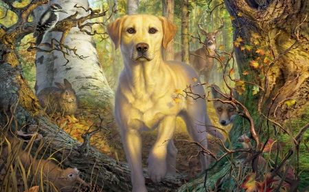 Yellow labrador In Wildlife - forest, Dog, woods, wildlife, nature, trees, animals, outdoors Labrador Art, Round Mosaic, Fall Canvas, Lab Dogs, Yellow Labrador, Labrador Retrievers, 500 Piece Jigsaw Puzzles, Yellow Lab, Diamond Embroidery