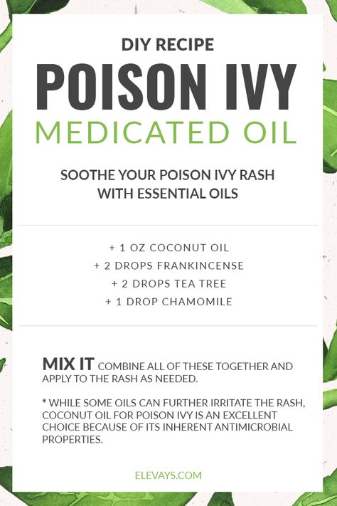 Poison Ivy Remedies Essential Oils, Oils For Poison Ivy, Poison Ivy Essential Oils, Poison Ivy Relief, Essential Oils For Thyroid, Poison Ivy Remedies, Medical Remedies, Oil Therapy, Poison Oak