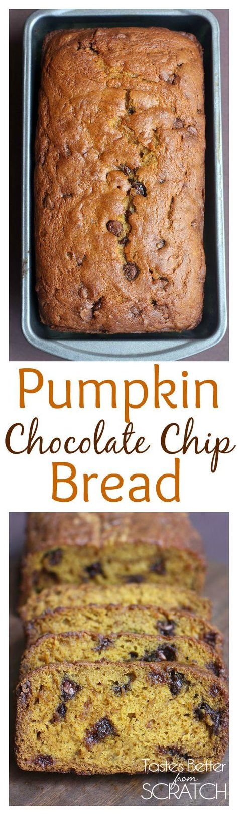 The BEST Pumpkin Bread recipe EVER!! Recipe on TastesBetterFromScratch.com: Best Pumpkin Bread Recipe Ever, The Best Pumpkin Bread, Best Pumpkin Bread, Best Pumpkin Bread Recipe, Chocolate Chip Bread, Pumpkin Chocolate Chip Bread, Pumpkin Chocolate Chip, Sugar Free Chocolate Chips, Pumpkin Bread Recipe