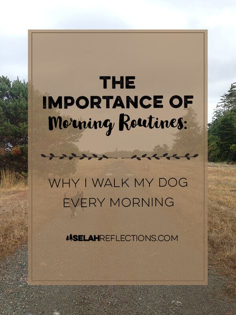 Daily Dog Training Routine, Dog Daily Routine, Morning Walk Routine, Dog Routine Schedules, Morning Routine With Dog, Dog Morning Routine, Dog Routine, Daily Routine For Women, Excercise Routine