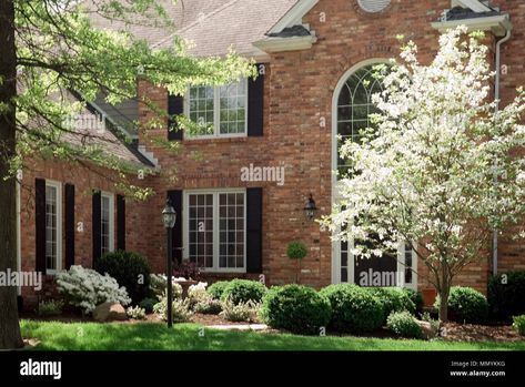 Red Brick House Landscaping, Brick House Landscaping, Formal Landscaping, Landscape Bricks, Box Wood Shrub, Red Brick House, House Landscaping, Front Landscaping, Brick Home