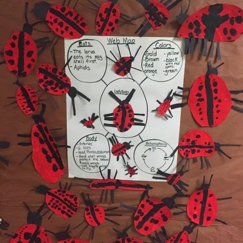 Inquiring Minds: Mrs. Myers' Kindergarten: Inquiring About Insects Ladybugs Kindergarten, Diy Garden Shed, Project Based Learning Kindergarten, Insects Kindergarten, Hungry Caterpillar Craft, Outdoor Learning Activities, Insects Preschool, Tree Map, Creepy Crawlers