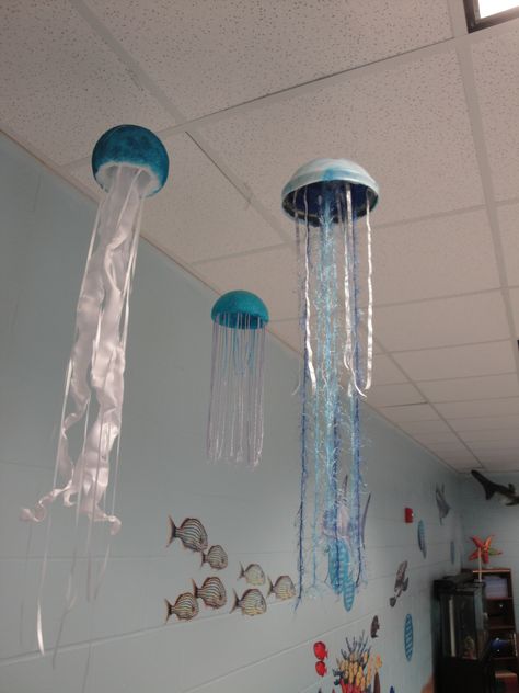 Biology Themed Classroom, Biology Classroom Ideas, Marine Biology Classroom, Ocean Themed Hallway Decorations, Marine Biology Room Decor, Marine Biology Classroom Decorations, Ocean Decorations For The Classroom, Ocean Hallway Decorations, Underwater Classroom Theme