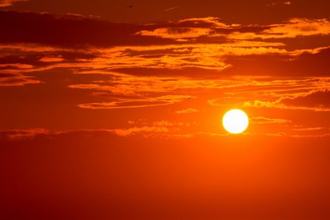 Orange Aesthetic Background Landscape, Evening Background, Sun Background, Black Background Design, Green Leaf Background, Orange Moon, Sunset Images, Background Light, Evening Sun