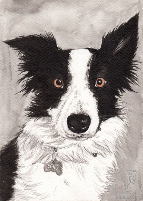 Pet Caricature, Portrait Indian, Border Collie Art, Tiny Canvas, Dog Portraits Painting, Animal Caricature, Paint Your Pet, Border Collie Dog, Dog Illustration