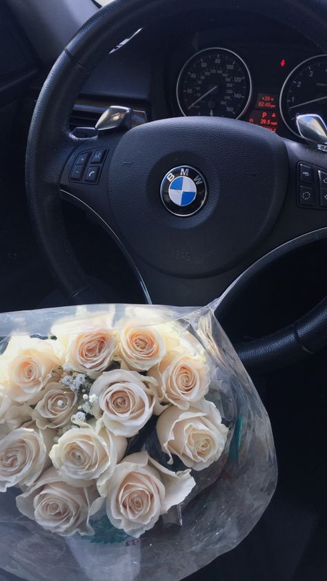 Austin, Roses, Bmw, Flowers, Instagram