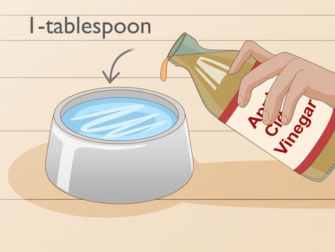 4 Ways to Kill Fleas in a Home - wikiHow Diy Flea Trap, Flea Spray For House, Flea Bomb, Kill Fleas On Dogs, Homemade Flea Spray, Dog Flea Remedies, How To Make Traps, Dog Wisdom, Itchy Dog Skin