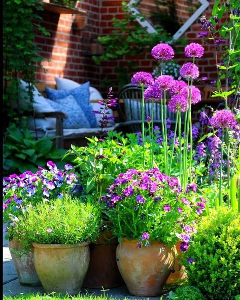 English Wild Flowers, Small Magical Garden, Courtyard Plants, Small Courtyard Gardens, Have Inspiration, Garden Containers, Magical Garden, Gorgeous Gardens, Garden Cottage