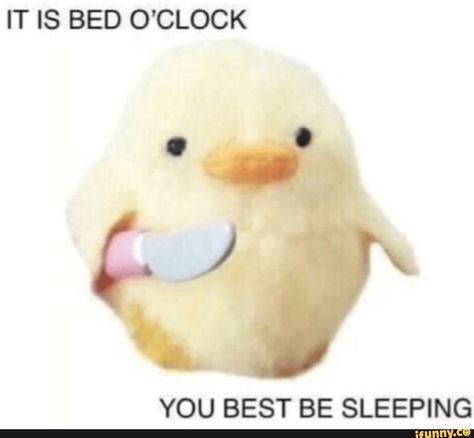 IT IS BED O’CLOCK YOU BEST BE SLEEPING – popular memes on the site iFunny.co #animals #animalsnature #relatable #tumblr #alternatefeatures #cute #derekthepotato #it #is #bed #oclock #you #best #be #sleeping #pic Response Memes, Snapchat Stickers, Current Mood Meme, Cute Love Memes, Debby Ryan, Snapchat Funny, Tapeta Pro Iphone, Memes Humor, Funny Reaction Pictures