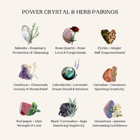 MINDFULSOULS ∣ Spiritual shop on Instagram: “Did you know that natural herbs can enhance your crystals’ benefits? 💎🌿⁠ ⁠ Both crystals and herbs are gifts from the Universe that…” Herb Combinations, Crystals Benefits, Energy Stones Crystal Healing, Crystals And Herbs, Mother Earth Art, Spiritual Shop, Herb Candles, Witch Herbs, Healing Spirituality