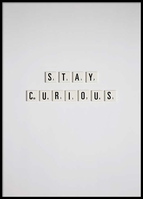 Stay curious Poster in the group Prints / Sizes / 30x40cm | 12x16 at Desenio AB (2667) Curiousity Aesthetic, Curious Aesthetic, Stay Curious, Marriage And Family, Family Quotes, Quote Posters, Mood Boards, Life Quotes, Poster Prints