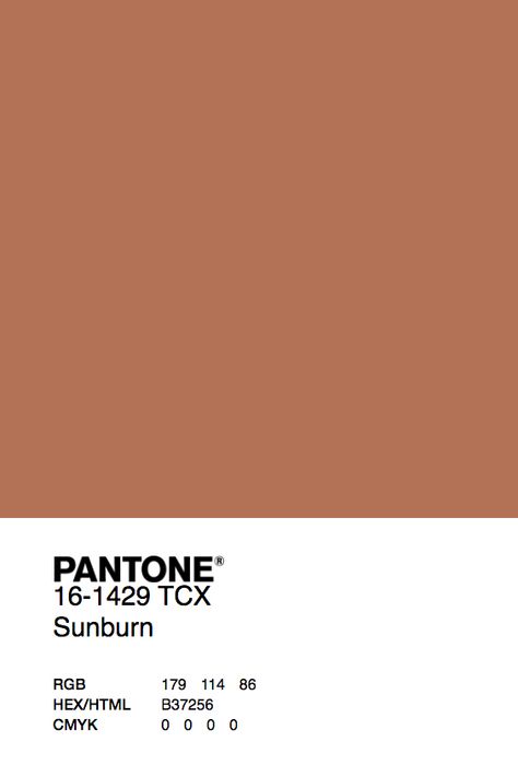 Terracotta Pantone, Terracotta Palette, Pantone Color Chart, Painting Corner, Color Terracota, Temple Design For Home, Pantone Palette, Terracotta Wall, Pantone Colour Palettes