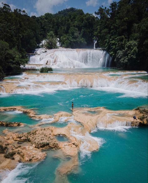 📍Chiapas, Mexico 📸; everchanginghorizon Mayan Cities, Adventure Nature, Travel Trip, Face Down, Boat Tours, Mexico Travel, Travel And Leisure, Travel Agency, Beautiful Views