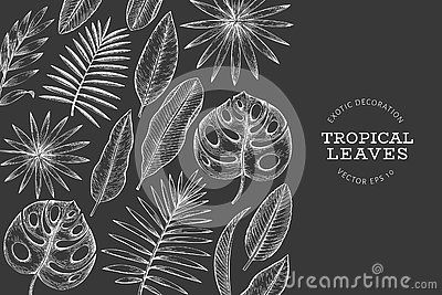 Leaves Illustration, Chalkboard Art, 2nd Birthday Parties, Tropical Plants, Banner Design, 2nd Birthday, Chalkboard, Chalk, Craft Ideas