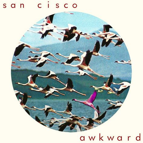 Awkward - EP Version - song and lyrics by San Cisco | Spotify San Cisco, Pop Albums, Music Album Covers, Indie Pop, Cd Cover, Music Design, Band Posters, Music Album, Music Love