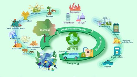 Researchers evaluated China's bioenergy production and carbon emission reduction potentials. Continue reading Researchers evaluate biomass energy conservation and carbon reduction on Inceptive Mind. Biomass Energy, Dimensional Analysis, Carbon Emission, Spatial Analysis, Energy Transformations, Communications Plan, Potential Energy, Energy Conservation, Low Carbon