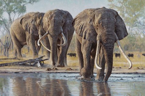 2 Elephants, Two Elephants, Three Elephants, Elephant In Forest, Group Of Elephants, Elephant Landscape Photography, We Three Kings, Three Kings, Wildlife Paintings