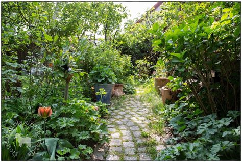 Garden Woodland, 1 Mai, Hippie Garden, Yard Plants, Garden Yard, Garden And Yard, Beautiful Gardens, Berlin, Yard