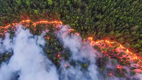 Across Russia, Europe, Indonesia, the Amazon Basin, North America, Australia, and beyond, we have watched fires blaze across landscapes, causing immense damage to life and land. Now, a new analysis confirms what many have witnessed firsthand and in the news: forest fires are getting worse. Researchers at Global Forest Watch, an environmental monitoring platform developed […] Biome Project, Ormanlık Alan, Ashley Smith, Environmental Research, The Mechanisms, Boreal Forest, Wild Fire, Biome, Forest Fire