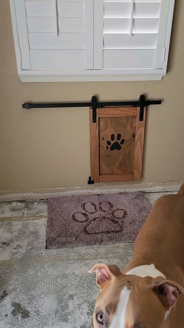 Dog Door Cover Ideas, Creative Dog Door Ideas, Dog Doors Ideas, Dog Door Ideas In Wall, Dog Door Ideas, New Floors, Dog Area, Dog Door, Animal House