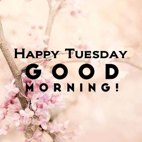 Good Morning Quotes Tuesday, Morning Quotes Tuesday, 30. Geburtstag Frau, Good Morning Quotes Inspirational, Morning Quotes Inspirational, Good Morning Tuesday Images, Happy Tuesday Morning, Tuesday Quotes Good Morning, Tuesday Greetings