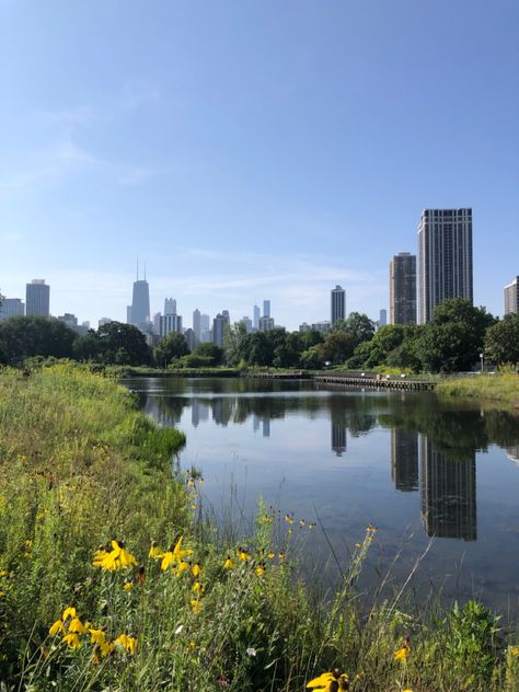 This picture was taken at Lincoln Park in Chicago. The scene features a pond with a variety of plants along the edges with the city’s skyline in the distance, which reflects on the water. Lincoln Park Zoo Chicago, Lincoln Park Chicago, Chicago Park, Chicago Aesthetic, Chicago Summer, Lincoln Park Zoo, Chi Town, Picnic Birthday, Lincoln Park