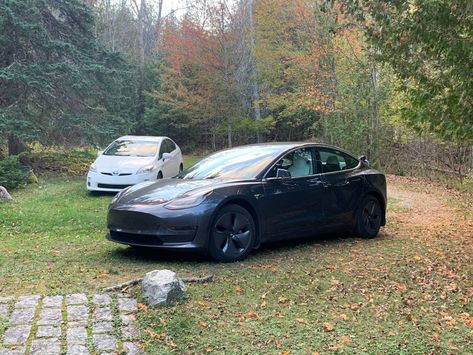 2019 Tesla Model 3 LONG RANGE AWD . Autopilot. Midnight Silver Metallic. WHITE interior. 48,000-miles. $31,000. State College, Pennsylvania State College Pennsylvania, Tesla Model 3, State College, Tesla Model, White Interior, Tesla, Pennsylvania, Range, For Sale