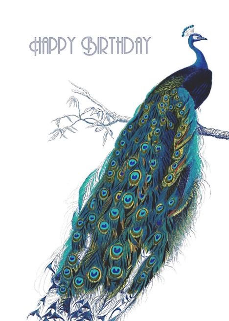 Beautiful Vintage Peacock - Happy Birthday card African American Birthday Cards, Peacock Birthday, Inspiring Illustration, Birthday Pics, Vintage Peacock, Birthday Club, Magick Spells, Birthday Blessings, Birthday Card Design