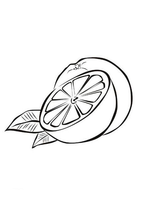 Slice Of Fresh Orange Fruits Coloring Page : Kids Play Color Symbol Tattoos With Meaning, Vegetable Coloring Pages, Florida Tattoos, Fruit Tattoo, Light Tattoo, Fruit Coloring Pages, Fruit Orange, Fruits Drawing, Food Illustration Art