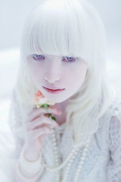 Acorde con la vida: Érase Una Vez...:"La leyenda de Edelweiss" Nastya Zhidkova, Albino Model, Albino Girl, Albino Animals, Catty Noir, Beauty Portrait, Pale Skin, Shades Of White, 인물 사진