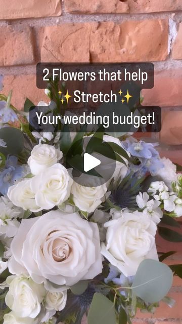 Ashleigh Thompson- Spokane / CDA / Boise Florist on Instagram: "We want it all but the budget sometimes says others wise. Here is my budget hack to help you have the high blooms where it counts and stretch the budget where you need to! 

 🌸 Consider carnations and alstroemeria! Here’s why they’re perfect:

1. **Cost-Effective**: These beauties are budget-friendly, allowing you to create stunning displays without breaking the bank.
2. **Space Fillers**: Their lush blooms take up a lot of space, making your arrangements look fuller and more luxurious.
3. **Versatile**: Ideal for arches, centerpieces, aisle flowers, and more. Their sturdy stems and vibrant colors add charm everywhere.
4. **Complementary**: Save your budget for premium flowers in bridal bouquets and key pieces, while carnatio Carnation Bridal Bouquet, Aisle Flowers, Bridal Bouquets, Wedding Arch, Flower Making, Bridal Bouquet, Diy Wedding, Budget Friendly, Flowers Bouquet