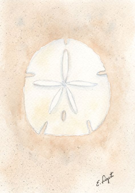 Watercolor Sand Dollar, Sand Dollar Watercolor, Coastal Watercolor, Sand Glass, Summer Painting, Color Painting, Water Colors, Great Gift Ideas, Watercolor Inspiration