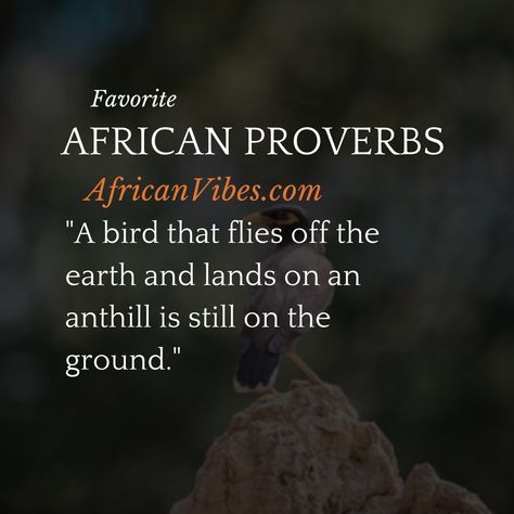 WHAT DOES THIS AFRICAN PROVERB MEAN?⁠ "A bird that flies off the earth and lands on an anthill is still on the ground." #AfricanProverbs #AfricanWisdom #wordstoliveby #wisdom #kindness #proverbs #truth #instaproverbs #proverbsofinstagram #humble #humility #downtoearth African Proverbs Wisdom, Proverb Meaning, African Quotes, African Proverb, Proverbs Quotes, Deep Truths, Good Morning Wishes Quotes, Morning Wishes Quotes, Artist Quotes