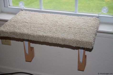 In this post I do a step by step approach of how to build a Cat Window Perch. This easy DIY project can be made easily and cheap for your pet kitty cats. Diy Cat Window Perch, Diy Cat Window, Cat Window Bed, Diy Window Seat, What Cats Can Eat, Cat Toilet Training, Dog Window, Cat Window Perch, Window Perch