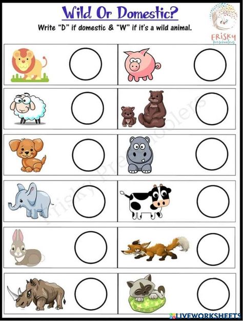 Domestic Animals Worksheets, Domestic And Wild Animals Activities, Uses Of Animals Worksheet, Domestic And Wild Animals Worksheets, Where Animals Live Worksheet, Wild Animals Colouring Worksheet, Murugan Wallpapers, Worksheets For Class 1, Lord Murugan Wallpapers