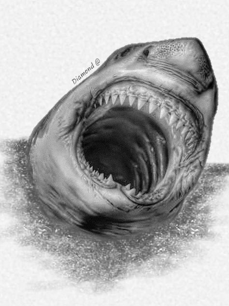 ✏️🎨🌟🎉 #HappyDrawingChallenge 
Draw your heart out and share your masterpieces with the world! Let's spread joy and creativity with our amazing artworks. Don't forget to use the hashtag #HappyDrawingChallenge to join the fun! 🤗🎉🎨❤️ Basking Shark, Shark Drawing, Architecture Sketch, Art Painting, Marvel, Drawings, Animals, Art