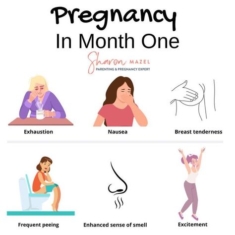 Pregnancy Guide on Instagram: "How many months pregnant are you, and what symptoms are you experiencing? 📸: @sharonmazel" First Month Pregnancy Symptoms, First Month Of Pregnancy, Pregnancy Facts, Newly Pregnant, Mom Of Four, Pregnancy Help, Pregnancy Checklist, Pregnancy Info, Newborn Baby Tips