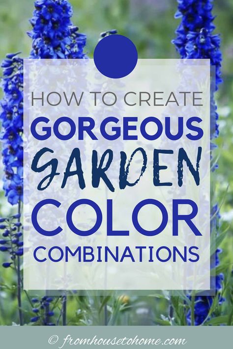 Garden Color Schemes (How To Create Gorgeous Garden Color Combinations) - Gardening @ From House To Home Garden Color Combinations, Colorful Garden Ideas, Relaxing Garden, Cottage Garden Plants, Cottage Garden Design, Easy Landscaping, Purple Garden, Blue Garden, Landscaping Tips