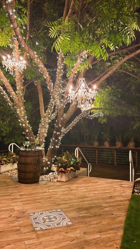 Chandelier From Tree, Outdoor Tree Chandelier, Lighted Trees Outdoor, Garden Tree Lights, Chandelier In Tree Wedding, Outside Tree Lights, Tree Chandelier Outdoor, Chandeliers In Trees, Lights In Trees Wedding