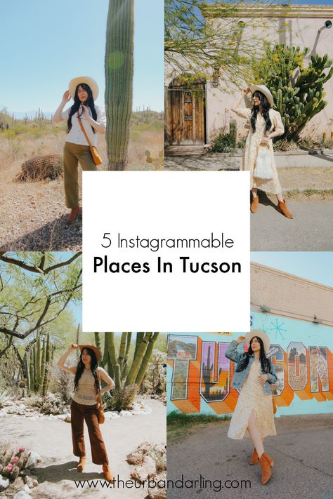 5 Instagrammable Places In Tucson, Tucson, things to do in Tucson, Tucson travel guide, travel guide, Instagrammable places, Saguaro National Park, Barrio Viejo, "A Mountain", Greetings From Tucson Mural, Tucson Botanical gardens, travel guide, Tucson Travel Guide, blogger, fashion blogger, travel blogger, The Urban Darling, "A Mountain", Barrio Viejo, Tucson Botanical Gardens, Greetings from Tucson Mural, Saguaro National Park. Tucson Photoshoot, Arizona Attractions, Saguaro National Park, Best Instagram Photos, Arizona Travel, Instagrammable Places, Blogger Fashion, Tucson Arizona, Tucson Az