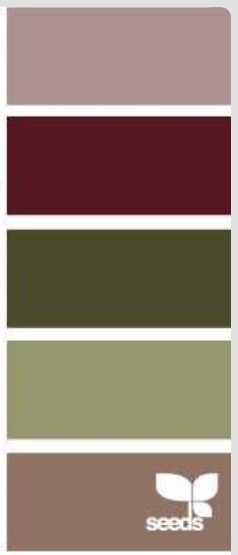 Maroon and earth tone color palette                                                                                                                                                                                 More Maroon And Green Interior Design, Burgundy Olive Color Palette, Maroon Pairing Color, Color Pallet With Maroon, Blue Green And Burgundy Living Room, Olive And Burgundy Living Room, Wine Colored Couch Living Room Ideas, Brown And Maroon Living Room, Green And Maroon Color Palette