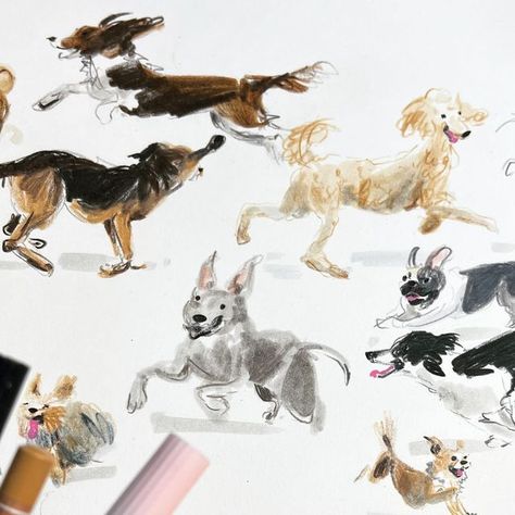 Jenny Bloomfield on Instagram: "Day 3524: April Zoomies on my desk this morning.  This one will be included in my next sale of original dog drawings on Friday 17th May at 7pm UK time 😊   (Apologies for the semi-obscured image - I have ongoing issues with my drawings being stolen and put on cheap t-shirts by dodgy internet companies)  #drawingaday #drawingadaychallenge #illustration #dailysketch #drawingdogs #dogsofinstagram #dailydog #dogart #pencilsketch #drawinganimals #illustratoroninstagram" Jenny Bloomfield, Dog Drawings, Color Vibe, My Drawings, Illustrators On Instagram, My Desk, Cheap T Shirts, Dog Drawing, Dog Portraits