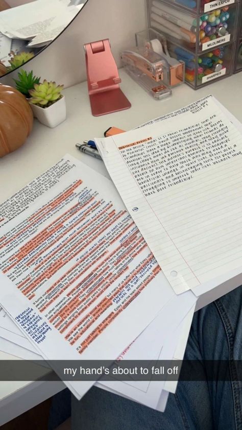 Nicole Laeno Studying, Nicole Laeno Notes, Nicole Laeno Study, Nicole Laeno Handwriting, Dream Handwriting, Nicole Leano, Notes Inspo, Nicole Laeno, School Goals