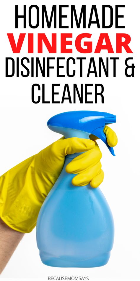 These brilliant cleaning hacks for vinegar are an amazing way to clean naturally! Make the easy vinegar cleaner using this recipe and clean bathrooms, kitchens, and so much more naturally! #vinegarcleaner #homemadecleaner #naturalcleaning #greenproducts Homemade Vinegar Cleaner, Vinegar Cleaner Recipe, Vinegar Hacks, Vinegar Cleaning Solution, How To Make Vinegar, Uses For Vinegar, Homemade Cleaner, Vinegar Cleaner, Homemade Cleaners Recipes