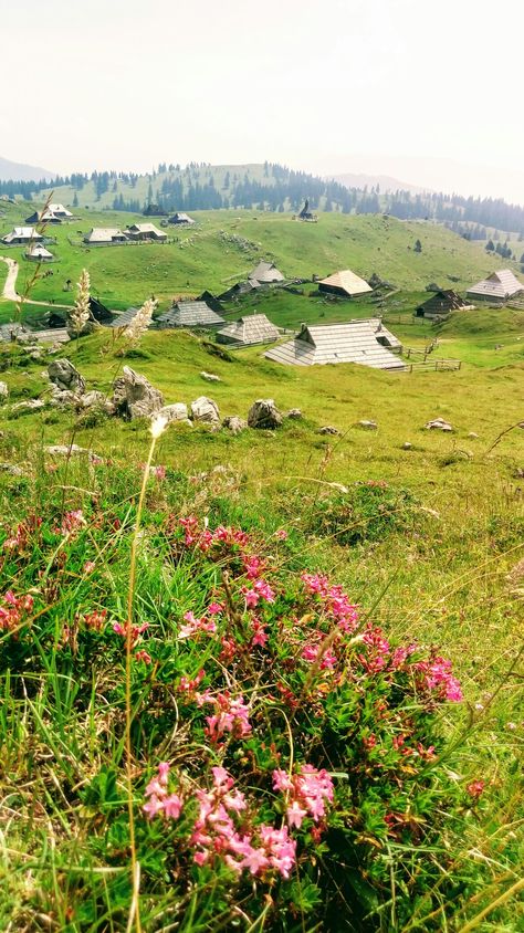 Novo Mesto, Mountain Huts, Bike Route, Green Environment, Beautiful Mountains, Beautiful Nature Scenes, Belleza Natural, Nature Scenes, Just Amazing