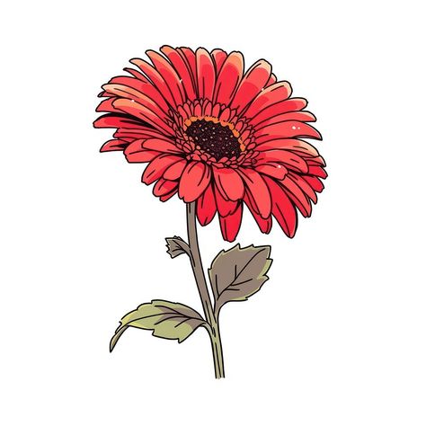 Red Gerbera flower petal plant white background. | free image by rawpixel.com / Nutthone Gerbera Flower Drawing, Plant White Background, White Flower Png, Red Gerbera, Cake For Husband, Gerbera Flower, Cartoon Flower, Quilt Square, Cartoon Faces