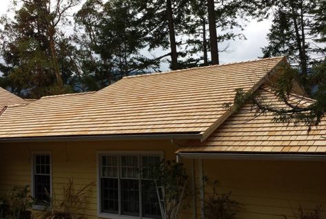 Due to the short growing season along the Pacific coast, the growth rings of Yellow Cedar trees are tight, making it heavier, denser and stronger than either Western Red Cedar or White Cedar.  Naturally resistant to rot and decay, Alaska Yellow Cedar shrinks very little over time making it an ideal choice for roofing. Cedar Shingle Siding, Treehouse Masters, Cedar Shingle Roof, Shingle House, Cedar Roof, Cedar Shakes, Shingle Siding, White Cedar, Cedar Shingles