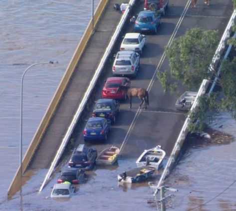 NSW floods 2022: How Lismore was enveloped by floodwaters in one-in-100 year weather event Media, Water