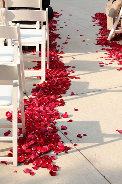 Wedding Aisle Red, Rose Petal Wedding Aisle, Red Rose Petals Wedding Aisle, Rose Petal Down The Aisle, Rose Petals Along Wedding Aisle, Rose Lined Aisle, Outdoor Aisle, Acotar Wedding, Petal Toss Wedding